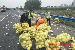 莒南吃瓜群众视频曝光网,揭秘网络热点背后的真相