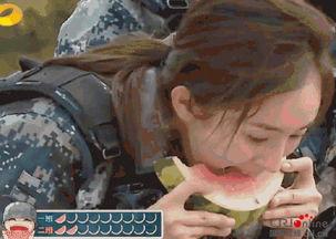 吃瓜群众好可爱,吃瓜群众好可爱的日常风采