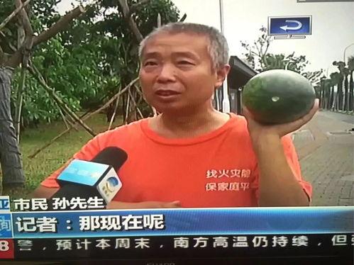 热点视频吃瓜群众是什么,网络热点背后的围观力量