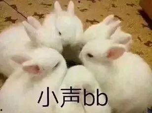 吃瓜群众大兔子是什么梗,吃瓜群众热议的网络新梗揭秘
