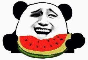 端庄优雅正直吃瓜群众,揭秘网络舆论场中的清新力量