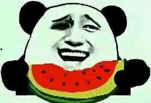 怎么吃瓜吃瓜群众说话