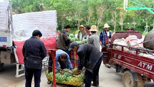 茌平专业吃瓜群众,揭秘当地热点事件背后的真相