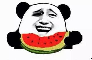 阿宋吃瓜群众是谁啊,网络红人的崛起之路