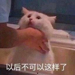 吃瓜的朝阳群众是什么梗,网络热梗背后的文化现象